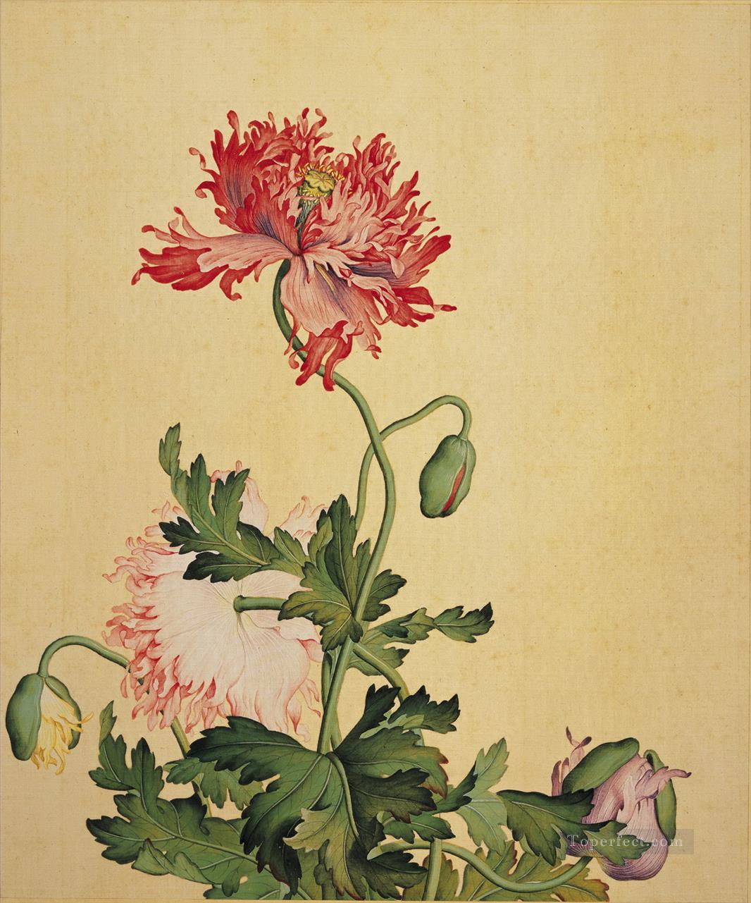 Lang amapola brillante tinta china antigua Giuseppe Castiglione decoración floral Pintura al óleo